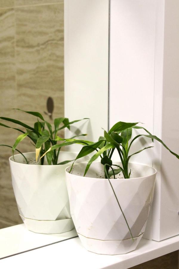 Laki Apartment Tivat Ngoại thất bức ảnh